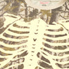 Bootleg Realtree Camo Skeleton Thermal Crew - White (New)