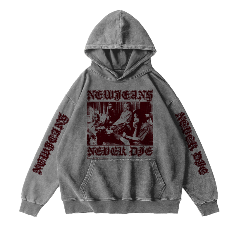 NewJeans Never Die Washed Hoodie - Grey (NEW)